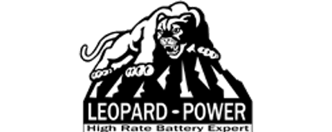 Leopard Power