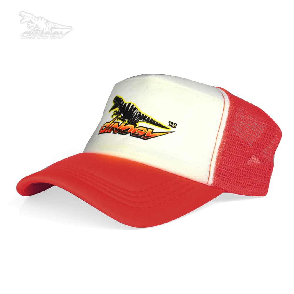 Dinogy Cap - ROOD for fpv drones 2