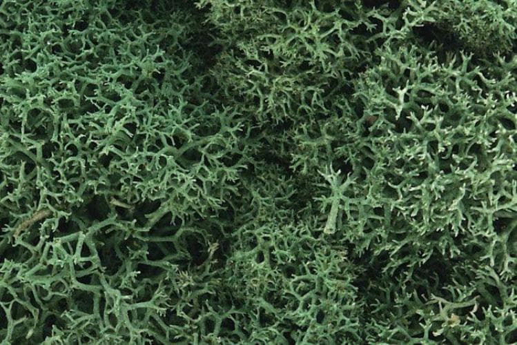 Woodland Scenics L162 N/HO Lichen Light Green 1.5 Quarts Train Scenery for fpv drones 1