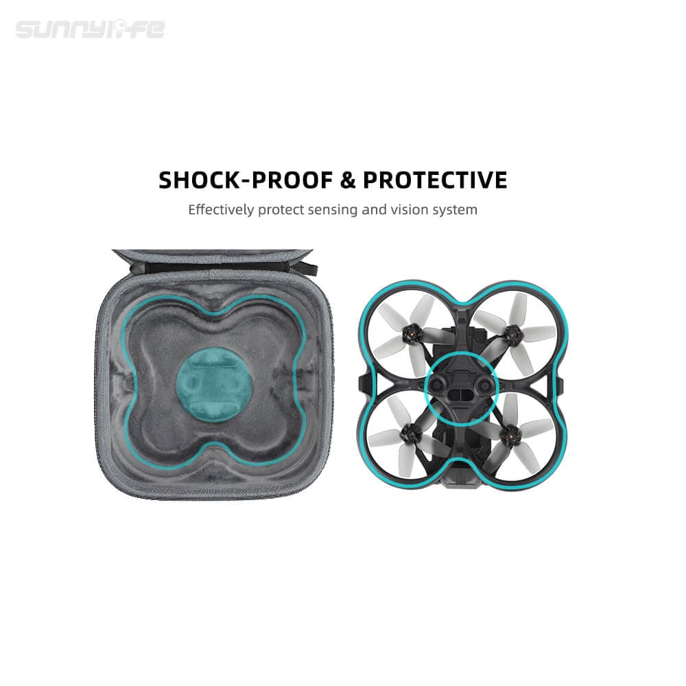 Carrying Case voor DJI Avata Drone for fpv drones 4