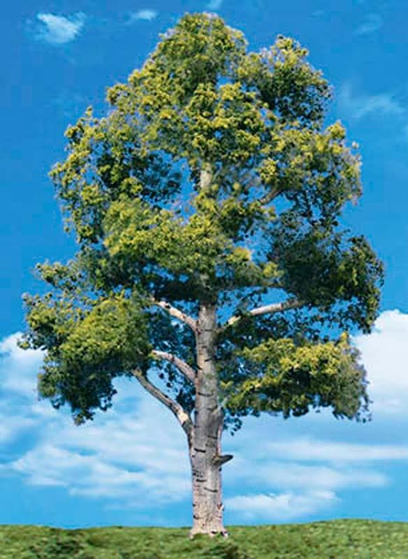 Woodland Scenics TR3538 N/HO Waters Edge Tree 7" - 8" Train Scenery for fpv drones