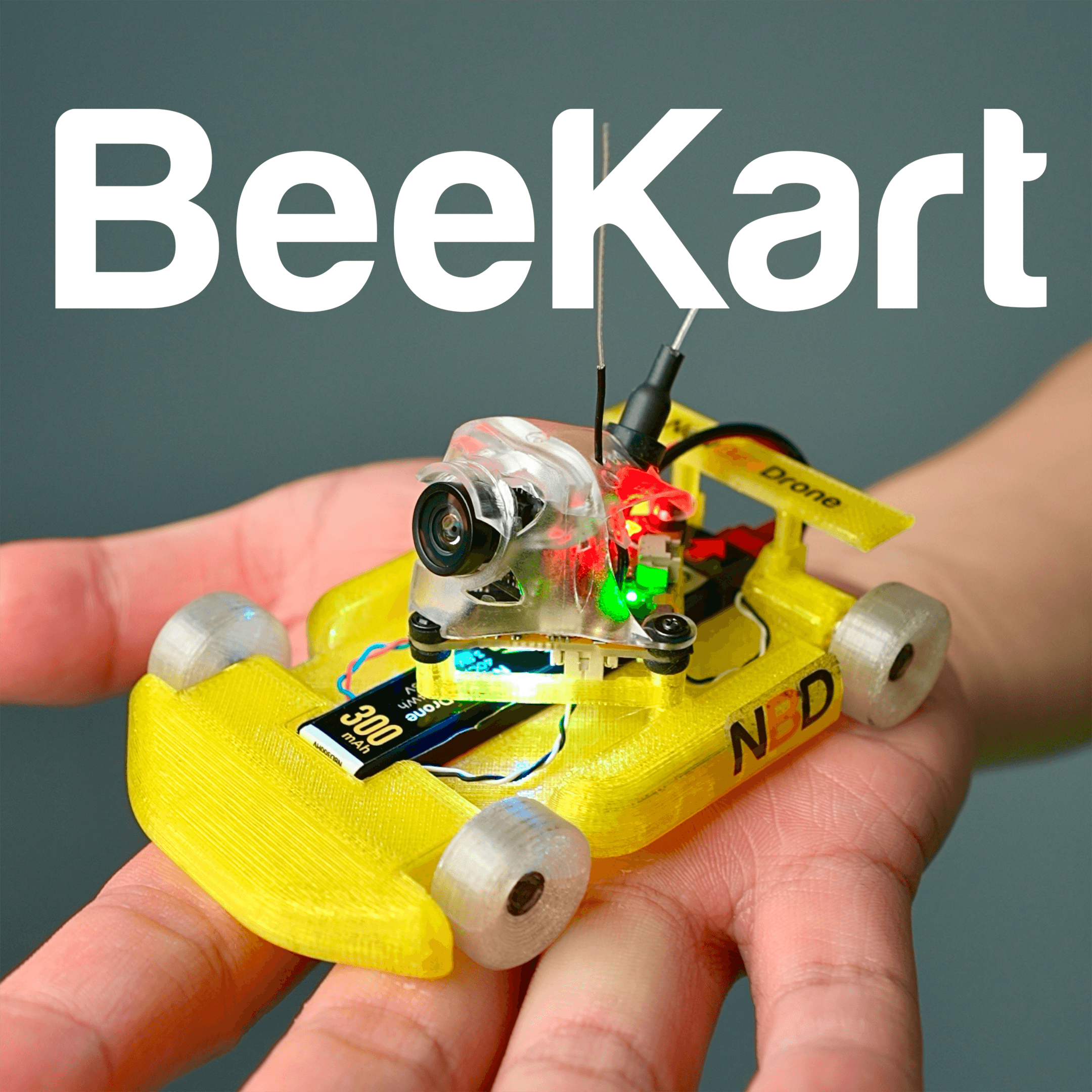 BeeKart AcroBee65 Brushed Car Conversion Kit (3D Printing Files Only)