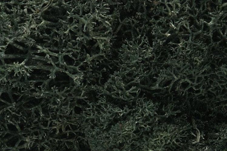 Woodland Scenics L164 N/HO Lichen Dark Green 1.5 Quarts Train Scenery for fpv drones 1
