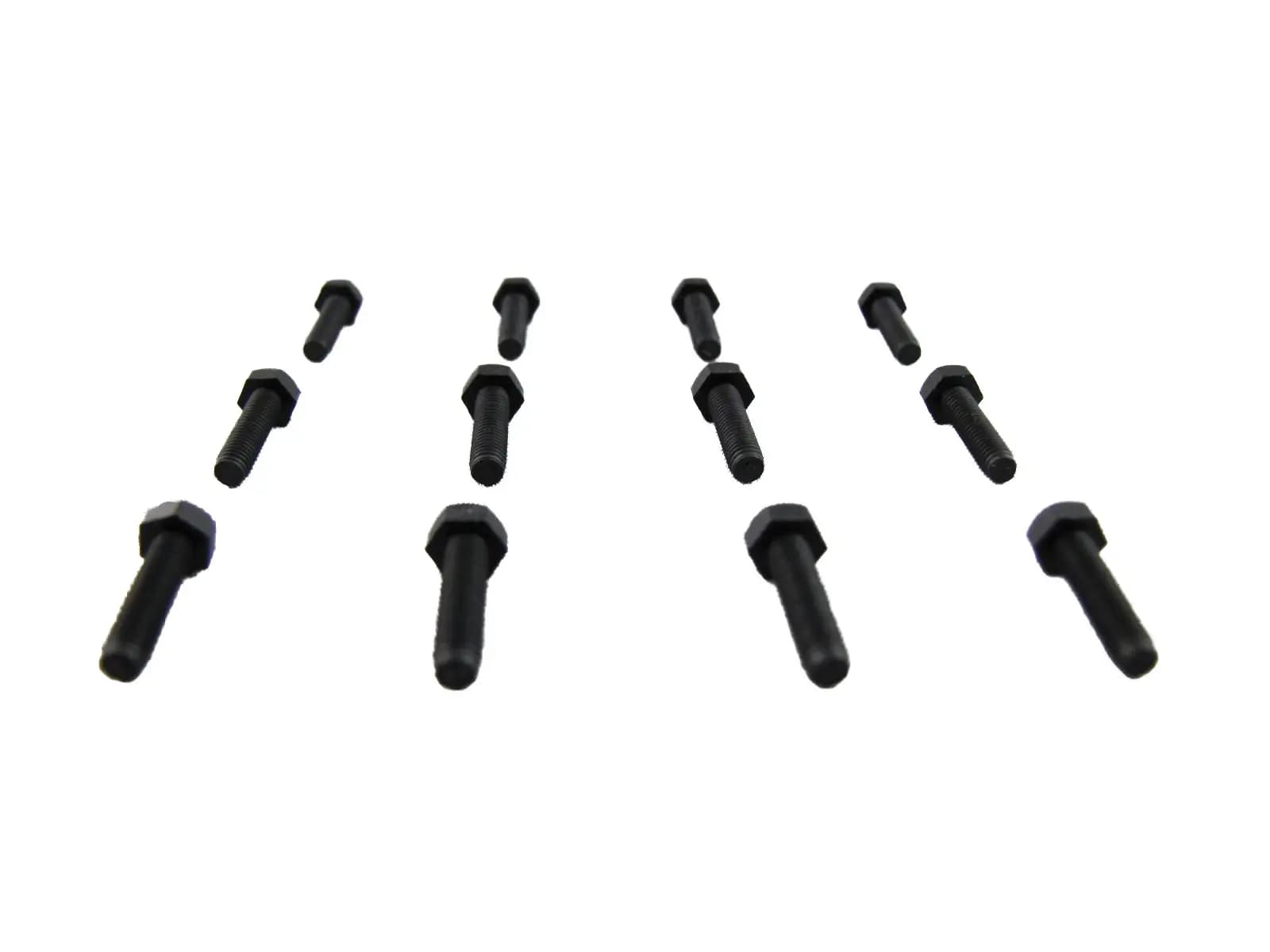 M3 x 10mm Bolt - Black Nylon 6/6 - (set of 12) - Black