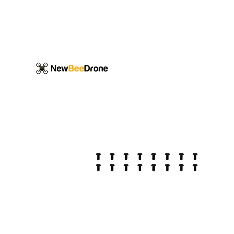 NewBeeDrone Motor Screws M2*4mm - Set of 15 for fpv drones